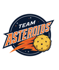 Team Asteroids Sticker