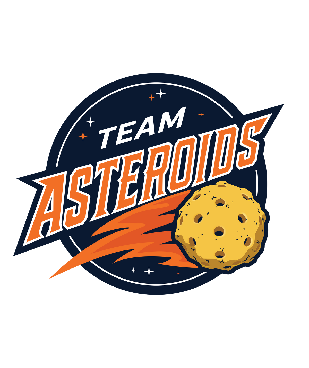 Team Asteroids Sticker